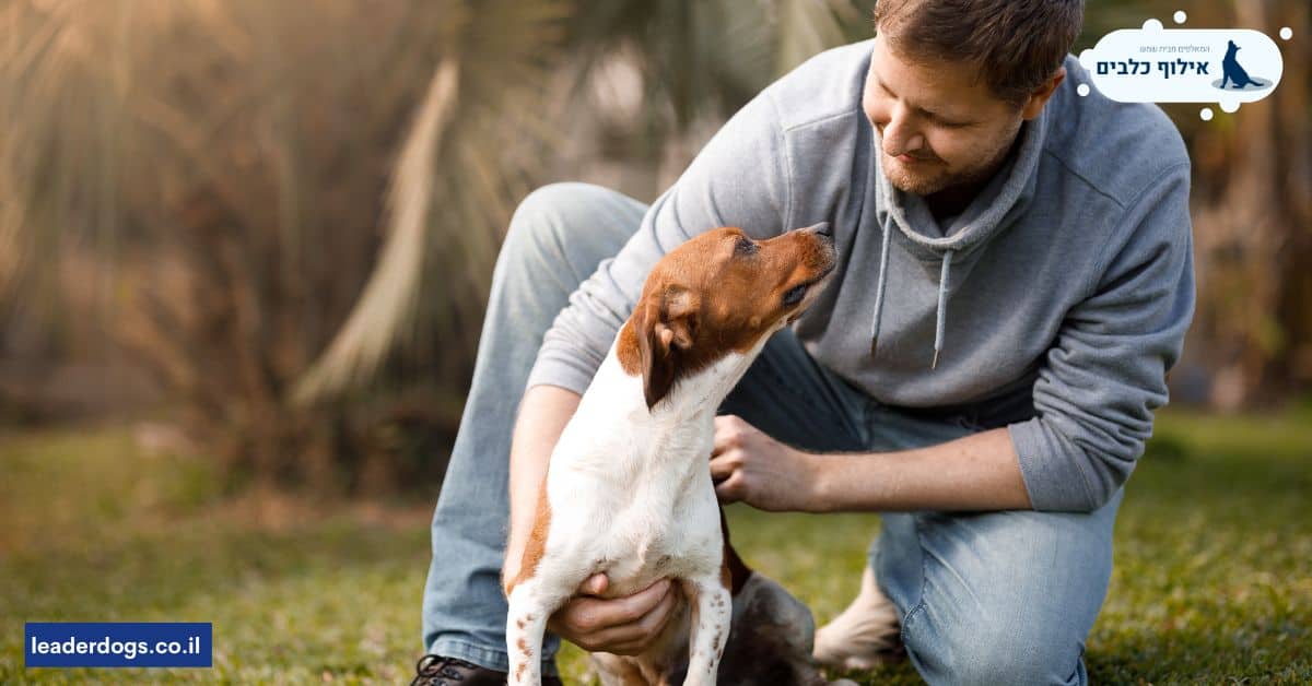 למה חשוב לתרגל תקשורת בין כלב כנעני לבעליו?f